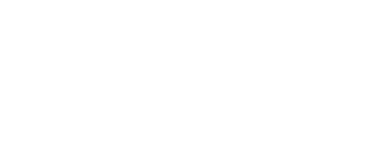 Optika Ana